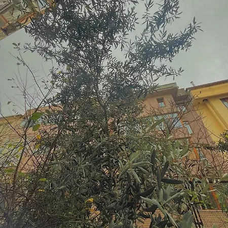 2+1 Garden Floor In Besiktas Apartment Istanbul
