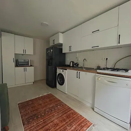 2+1 Garden Floor In Besiktas Διαμέρισμα Κωνσταντινούπολη